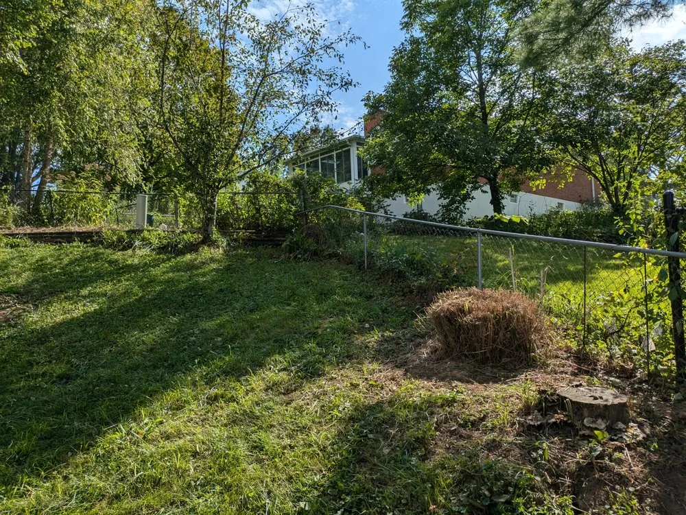 Local yard cleanup service with custom design across Saint Louis, MO - Reyes Construction