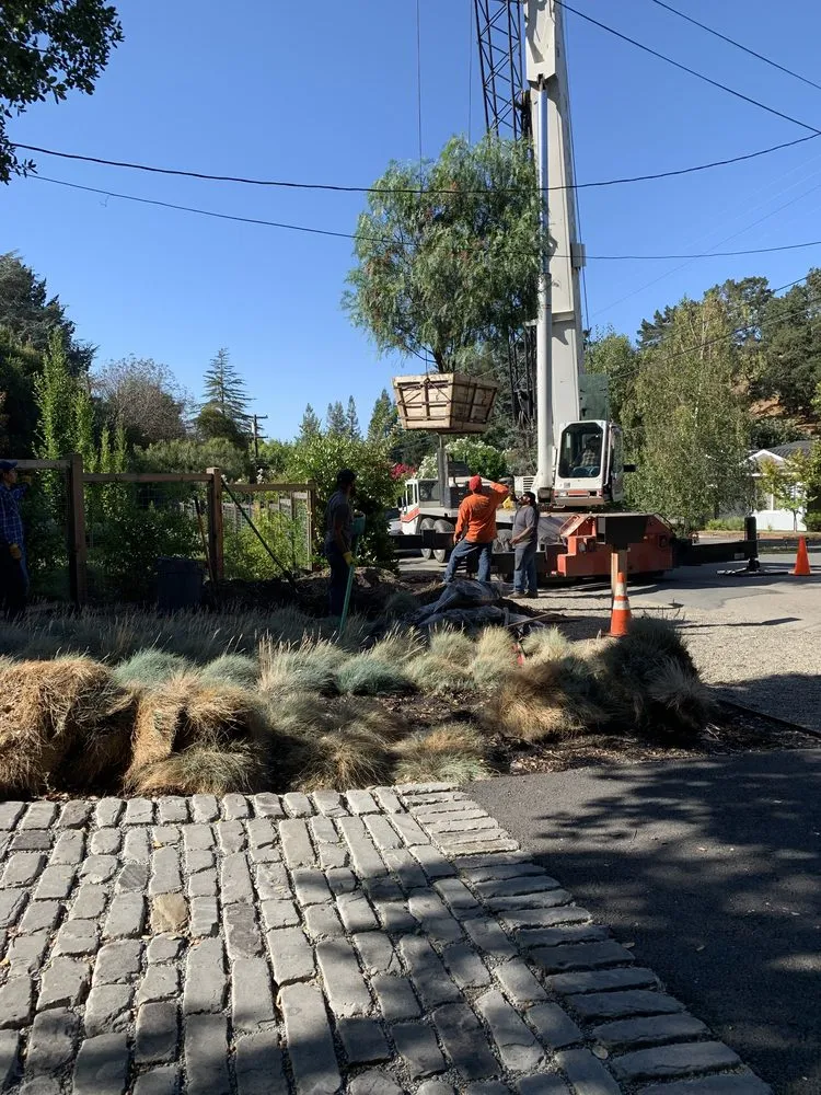 Expert outdoor landscaping in Hayward, CA - Reyes Gardening Service