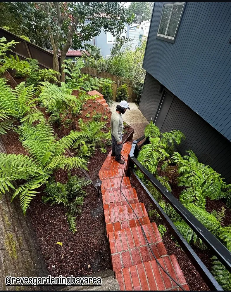 Custom landscape installation for residential properties across Hayward, CA - Reyes Gardening Service