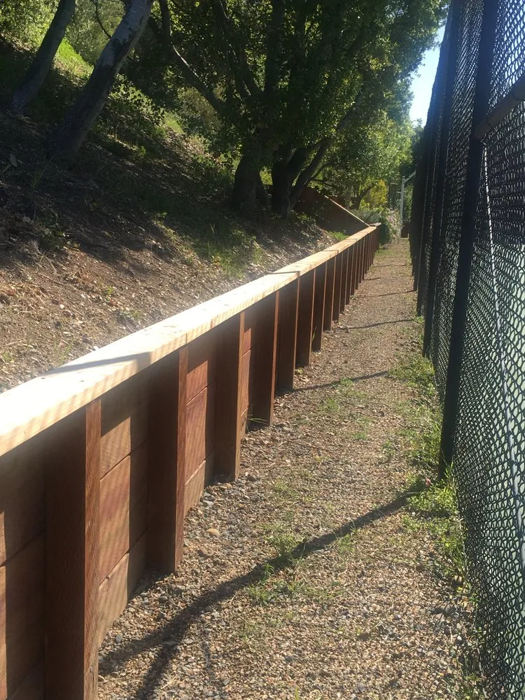 Expert yard cleanup service experts serving Hayward, CA - Reyes Gardening Service