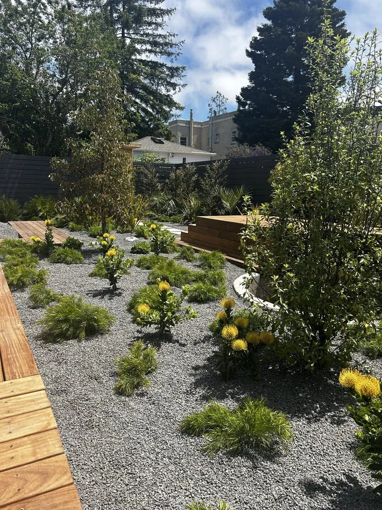 Expert lawn care service experts serving Hayward, CA - Reyes Gardening Service