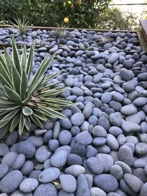 Reyes Gardening Service Logo