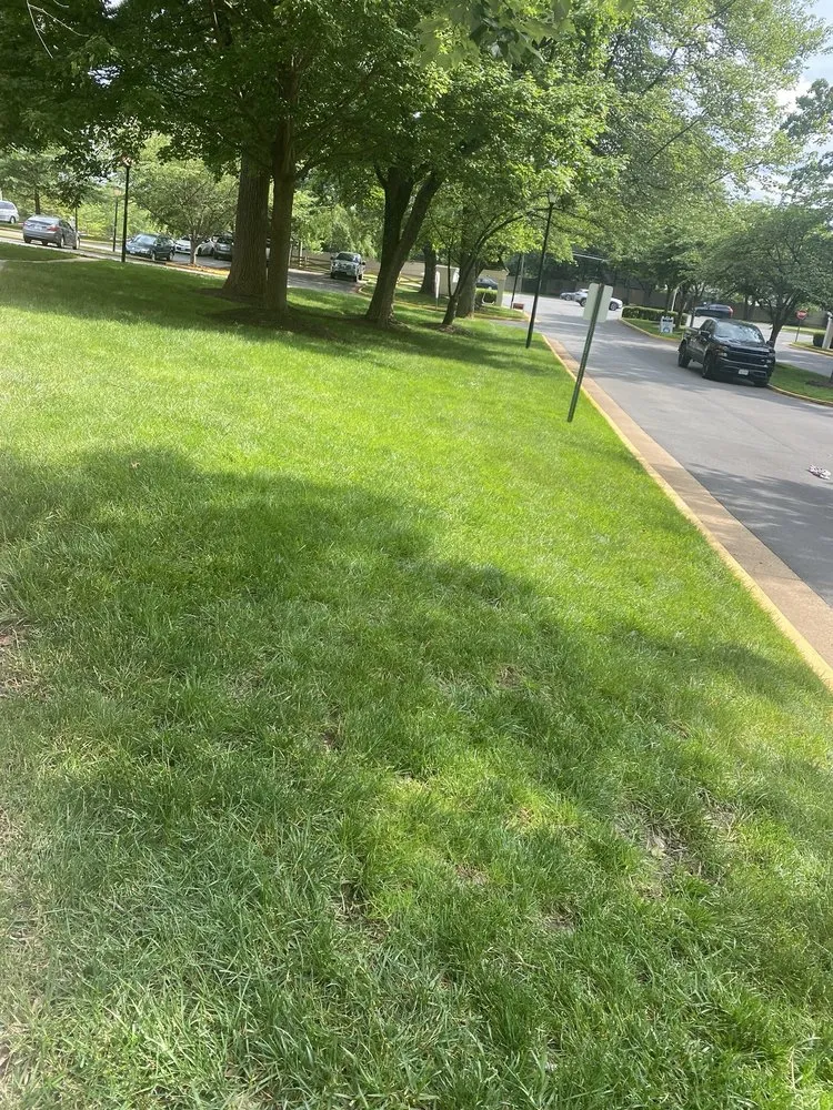 Local yard maintenance in Fairfax, VA - Reyes Landscape & Lawn