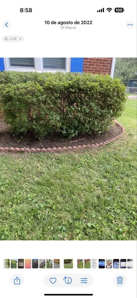 Local yard maintenance for residential properties across Fairfax, VA - Reyes Landscape & Lawn