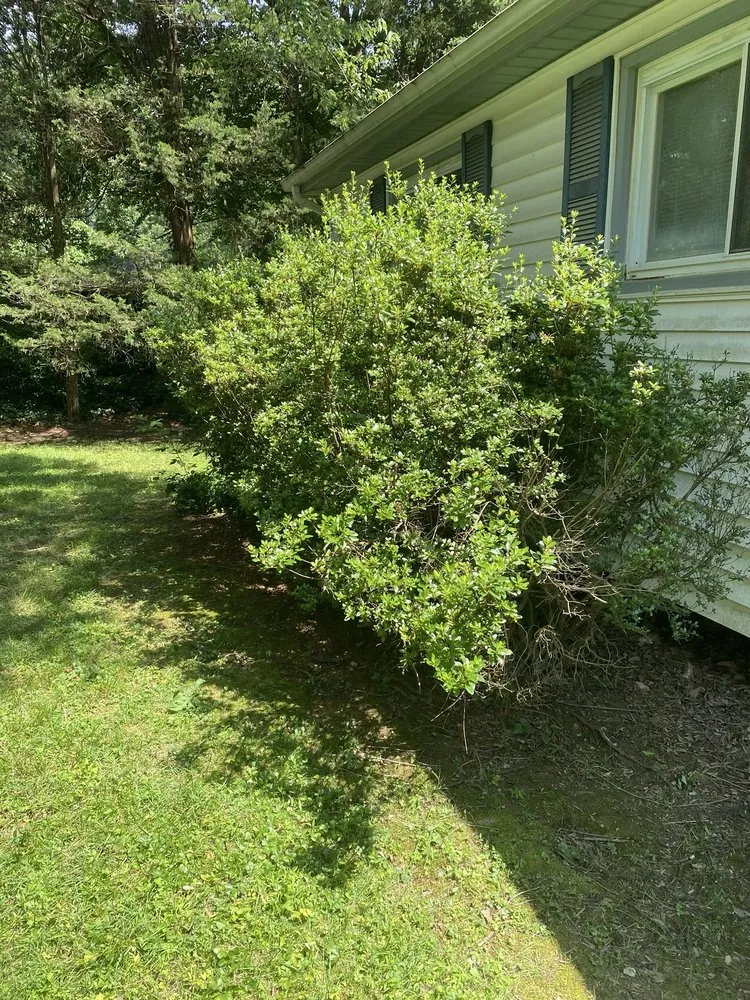 Trusted landscaping services experts serving Fairfax, VA - Reyes Landscape & Lawn