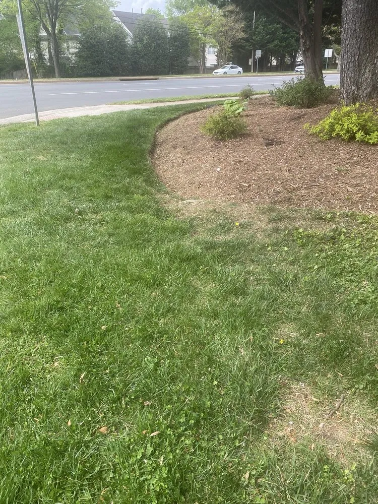 Expert landscape installation experts serving Fairfax, VA - Reyes Landscape & Lawn