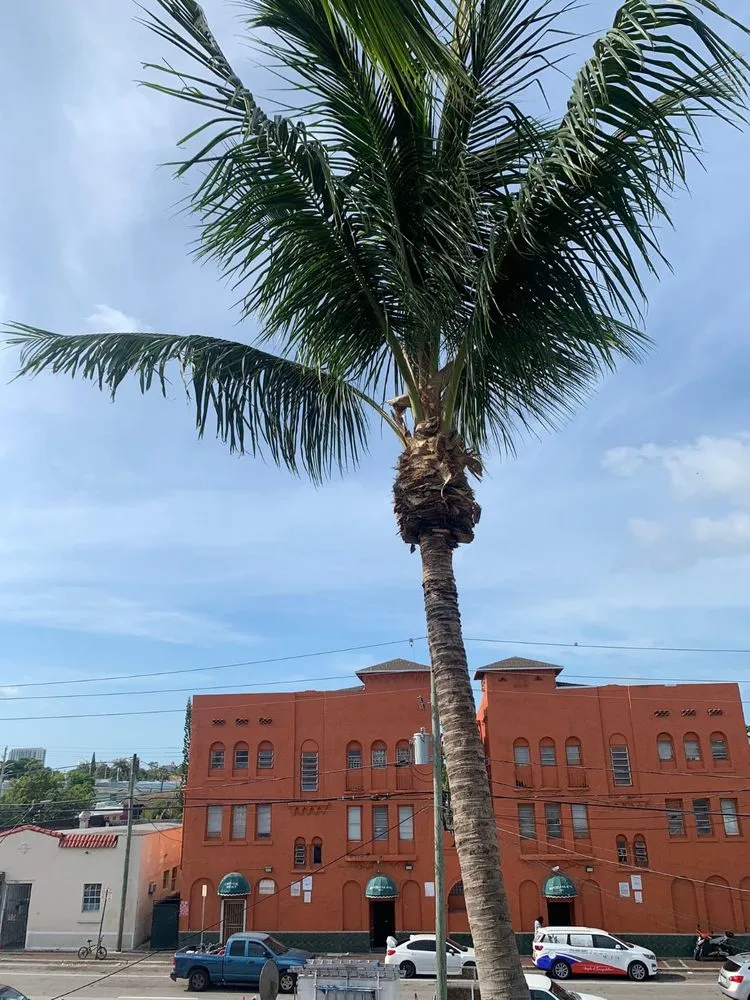 Top-rated outdoor landscaping near you across Baytown, TX - Reyes landscape