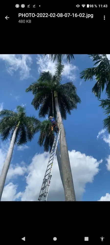 Local landscape design for homes in Baytown, TX by Reyes landscape
