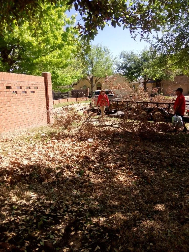 Affordable yard maintenance experts serving Baytown, TX - Reyes landscape