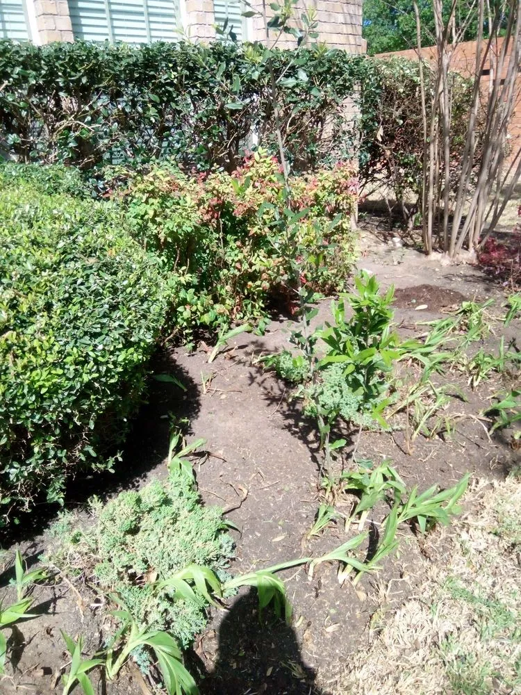 Custom landscaping services experts serving Baytown, TX - Reyes landscape