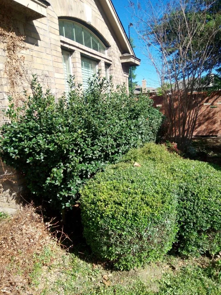 Local garden landscaping for residential properties across Baytown, TX - Reyes landscape