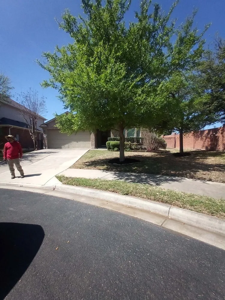 Affordable lawn mowing service in Baytown, TX - Reyes landscape