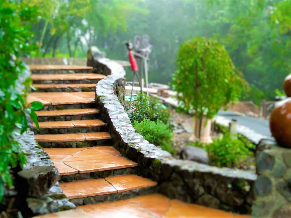 Top-rated residential landscaping in San Rafael, CA by Reyes Landscape Construction