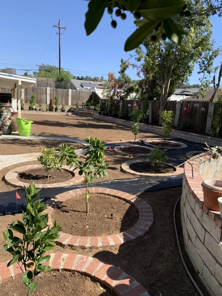 Expert residential landscaping for beautiful yards across Jurupa Valley, CA - Reyes Landscape