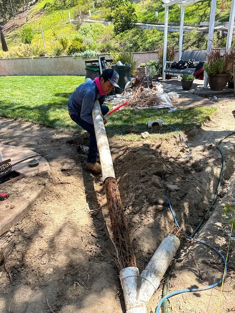 Expert yard maintenance in Vista, CA by Reyes Landscape Maintenance