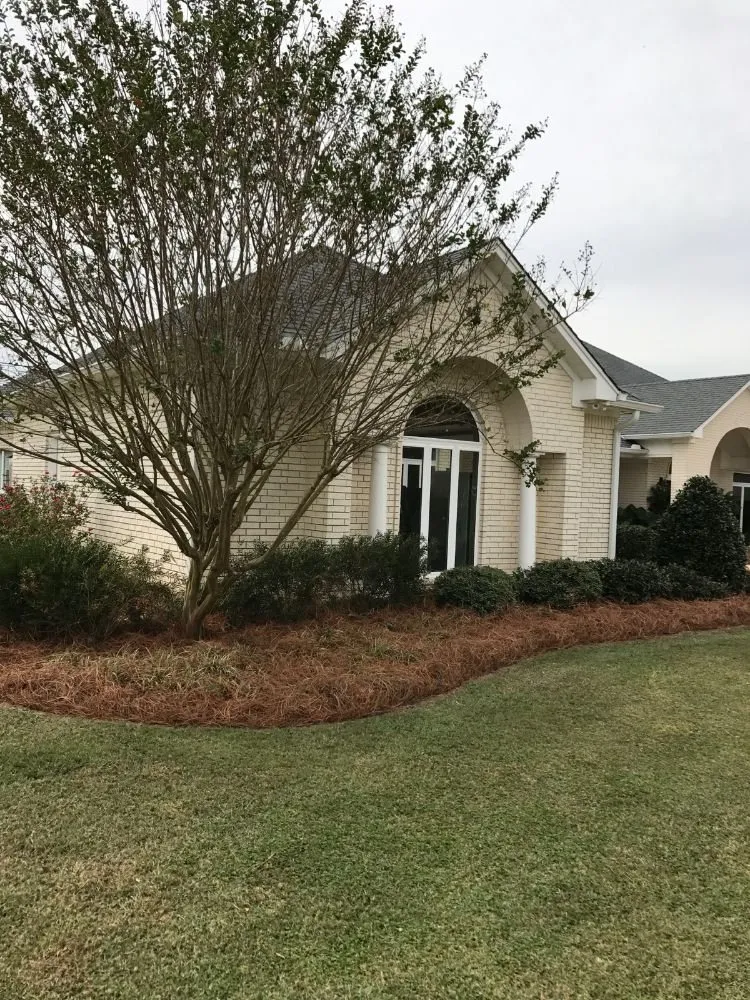 Top-rated landscape installation in Spearsville, LA by Reyes Landscape Works