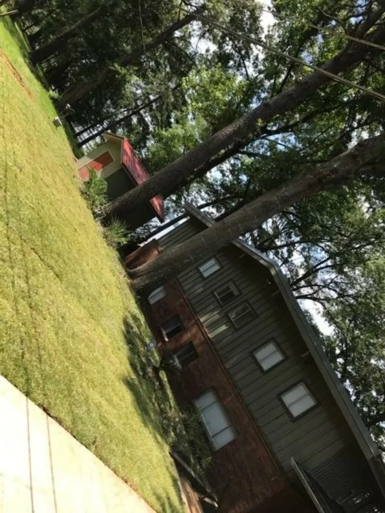 Expert yard cleanup service for year-round maintenance across Spearsville, LA - Reyes Landscape Works