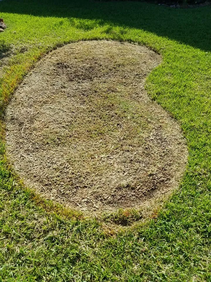 Reliable lawn care service in Highlands, TX - Reyes Landscaping & Design