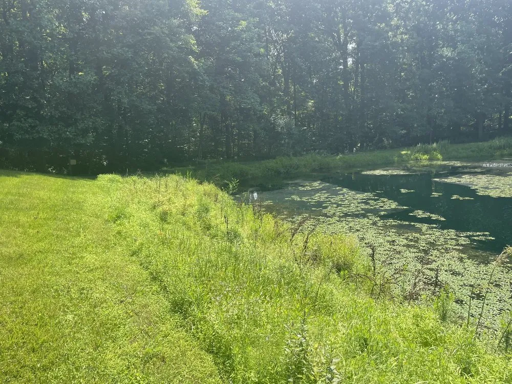 Affordable landscape installation near you across Falls Church, VA - Reyes Landscaping & Lawn