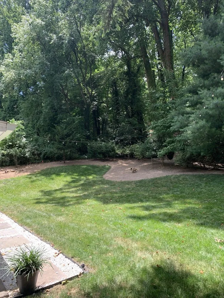 Local yard cleanup service experts serving Falls Church, VA - Reyes Landscaping & Lawn