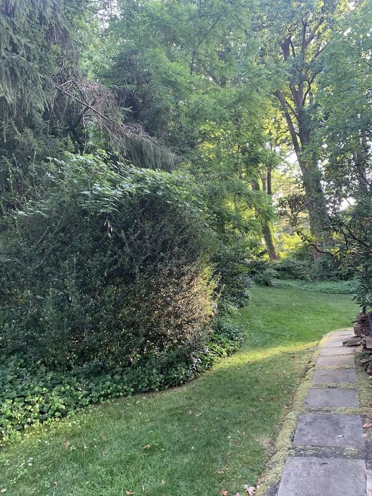 Expert lawn mowing service for outdoor upgrades across Falls Church, VA - Reyes Landscaping & Lawn