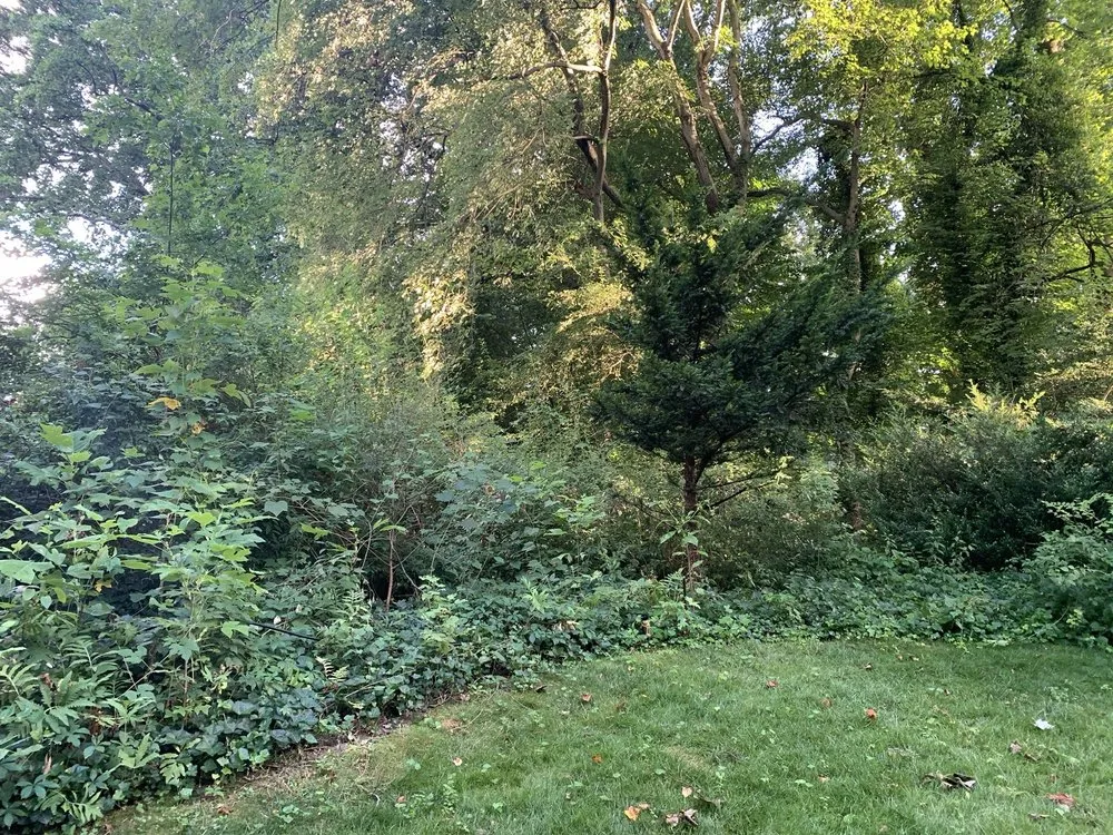 Professional lawn mowing service for homes in Falls Church, VA by Reyes Landscaping & Lawn