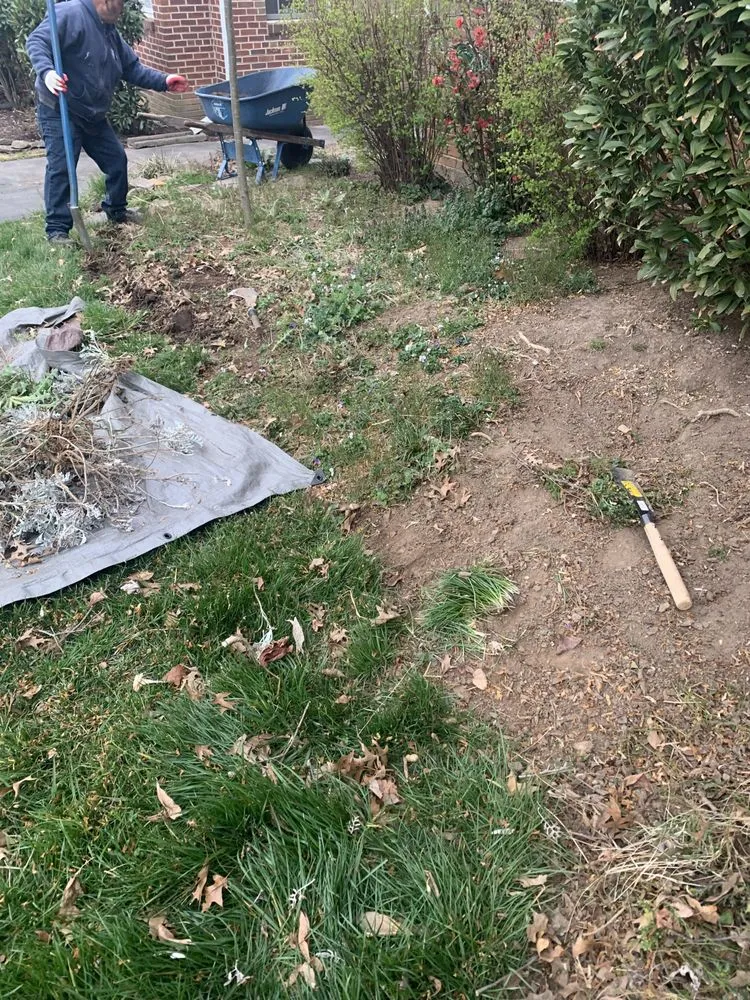 Reliable landscaping services in Falls Church, VA - Reyes Landscaping & Lawn