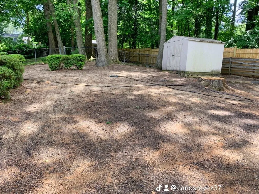 Local landscape design for beautiful yards in Falls Church, VA by Reyes Landscaping & Lawn