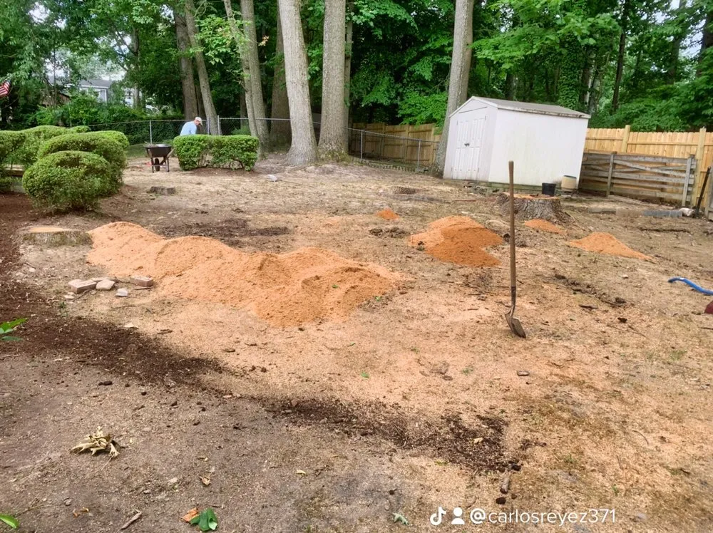 Professional lawn mowing service experts serving Falls Church, VA - Reyes Landscaping & Lawn