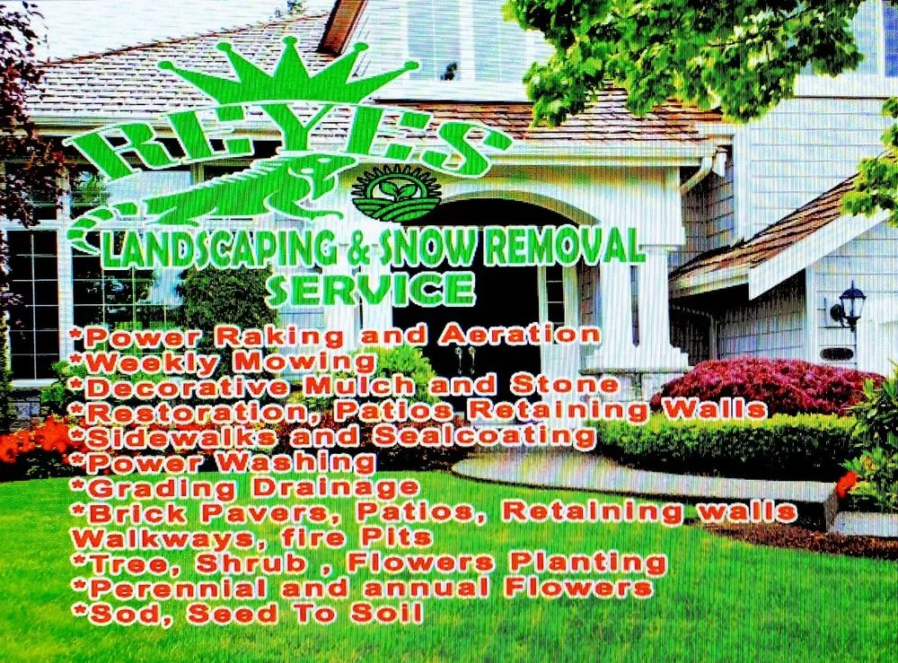 Reliable yard cleanup service in Cicero, IL by Reyes Landscaping & Snow Remove Service