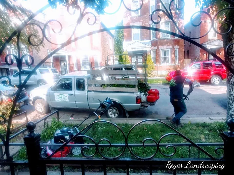 Top-rated yard maintenance in Cicero, IL - Reyes Landscaping & Snow Remove Service