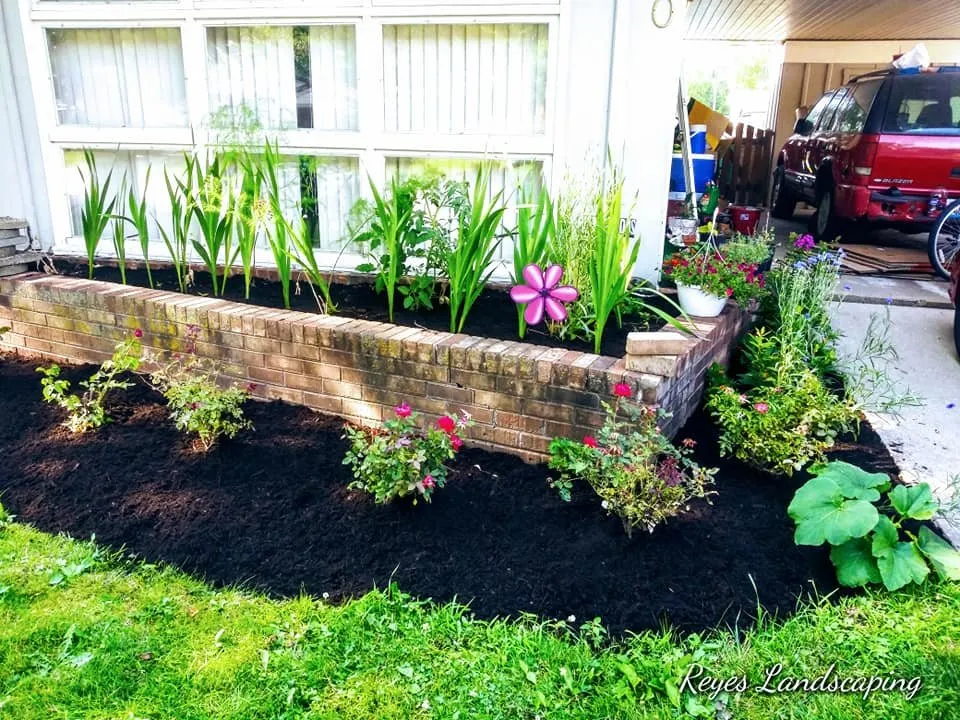 Expert yard maintenance in Cicero, IL - Reyes Landscaping & Snow Remove Service
