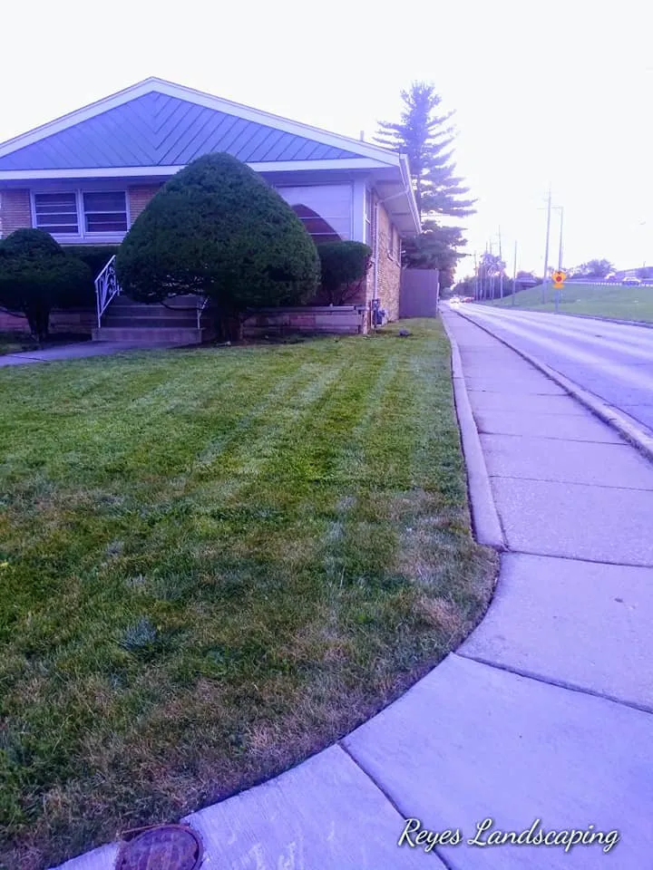 Local landscape design in Cicero, IL - Reyes Landscaping & Snow Remove Service
