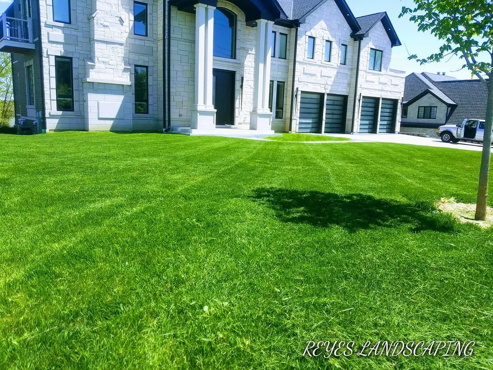 Expert yard cleanup service for residential properties across Cicero, IL - Reyes Landscaping & Snow Remove Service