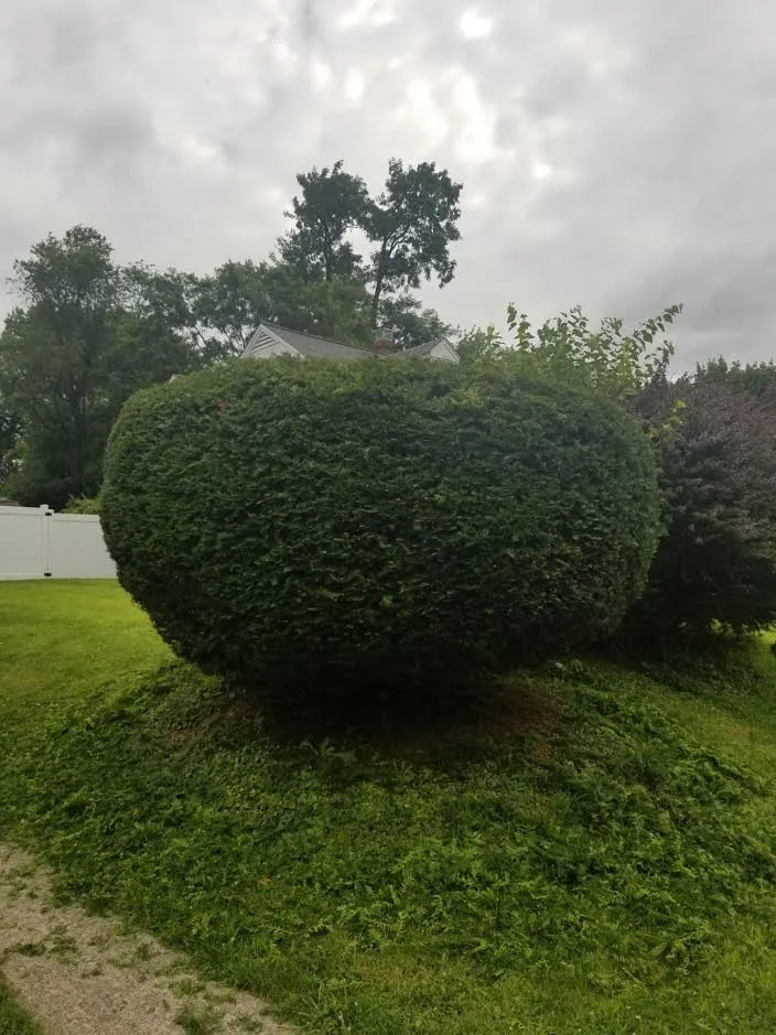 Local yard cleanup service with custom design across Reading, PA - Reyes Landscaping and Lawn Care