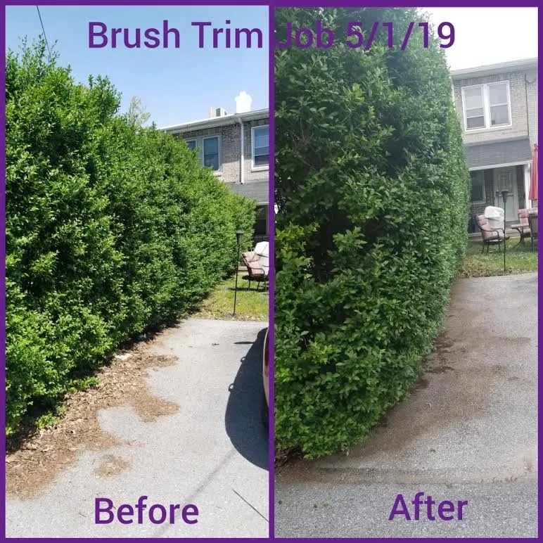 Trusted residential landscaping experts serving Reading, PA - Reyes Landscaping and Lawn Care