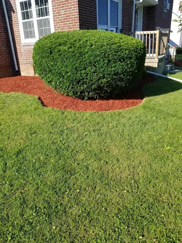 Local residential landscaping in Reading, PA - Reyes Landscaping and Lawn Care