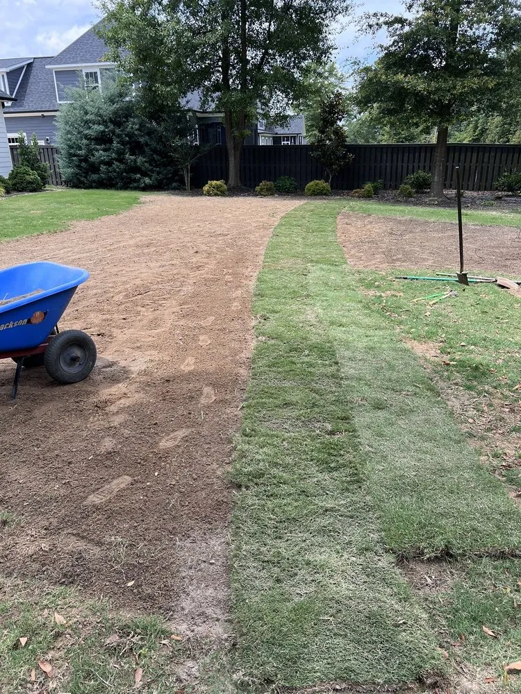 Affordable yard cleanup service in Grovetown, GA - Reyes Landscaping