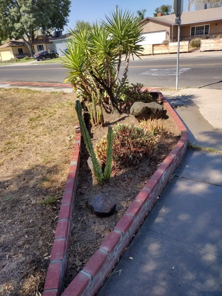 Expert yard cleanup service in Hanford, CA by Reyes landscaping