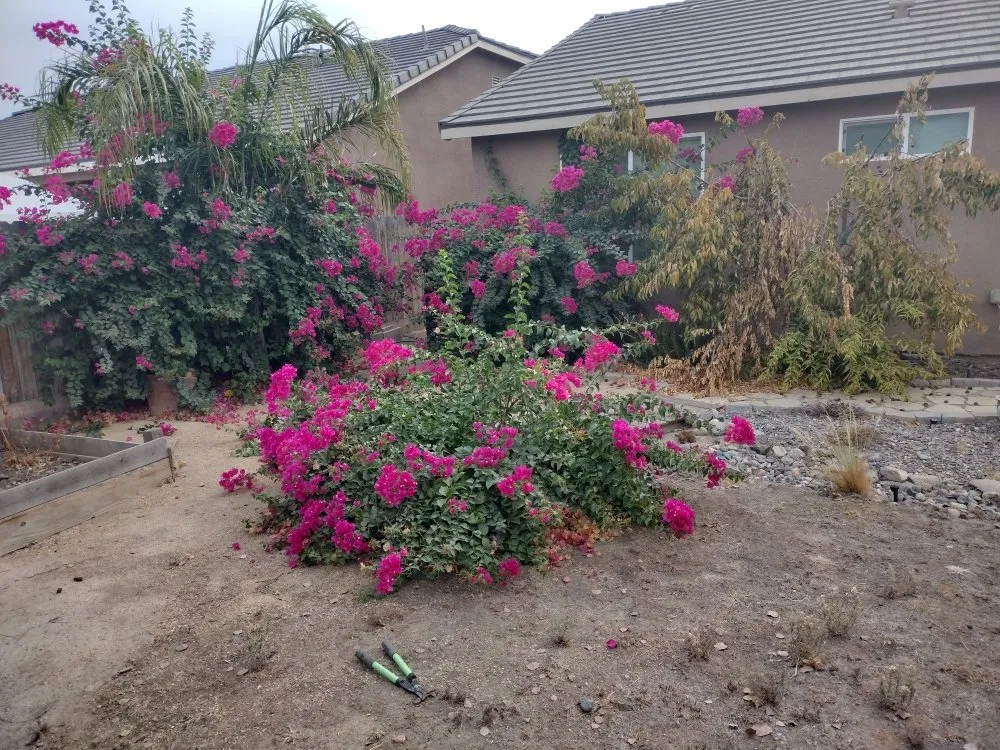 Local residential landscaping for beautiful yards across Hanford, CA - Reyes landscaping