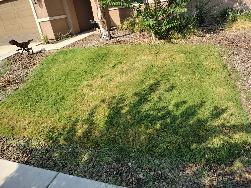 Reliable lawn care service in Hanford, CA - Reyes landscaping