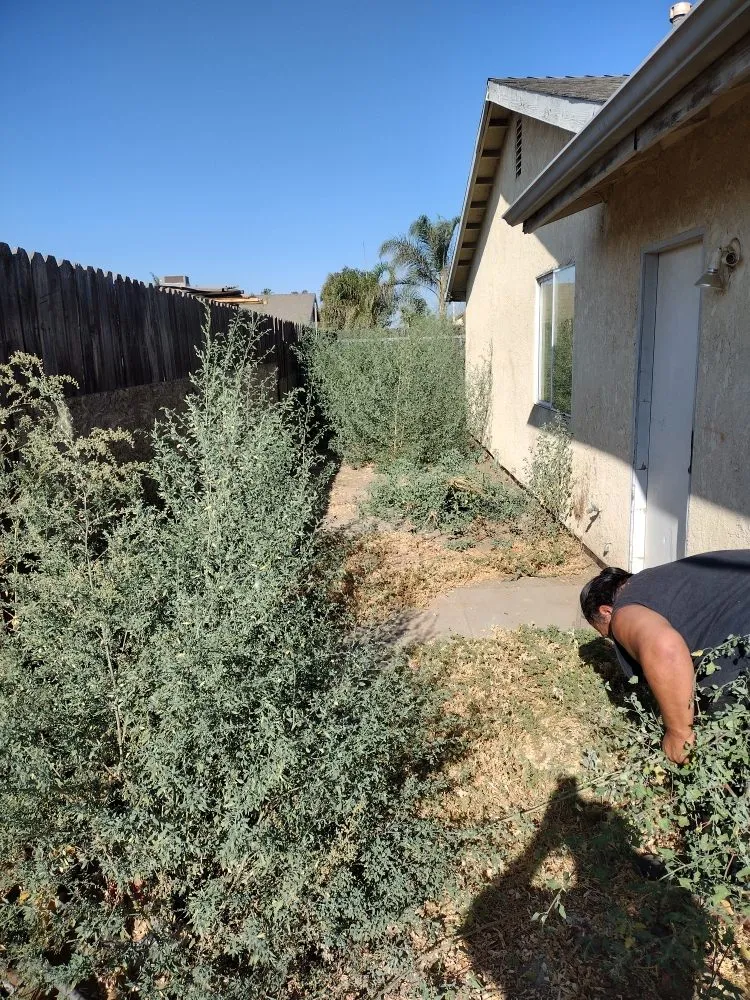 Professional outdoor landscaping in Hanford, CA - Reyes landscaping