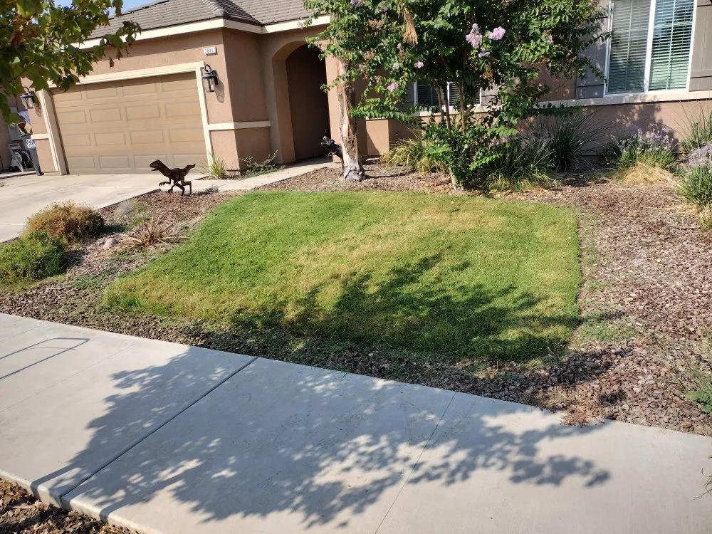 Local landscaping services for beautiful yards across Hanford, CA - Reyes landscaping