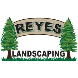 Reliable yard cleanup service for year-round maintenance in Henderson, NC by Reyes Landscaping