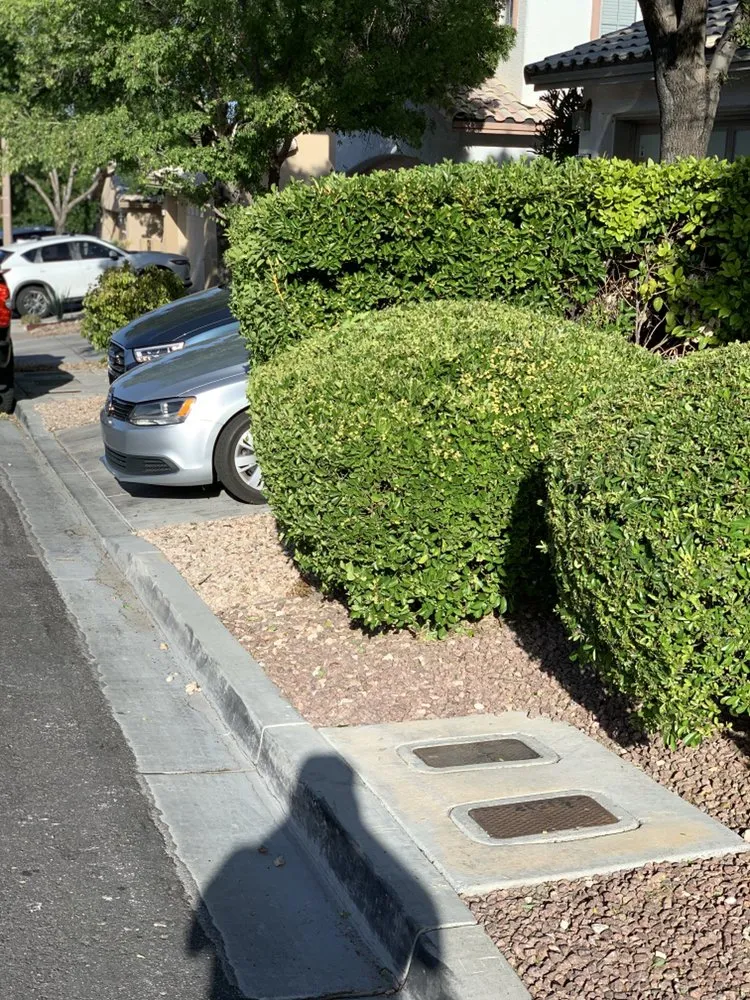 Reliable landscape design in Las Vegas, NV - Reyes Landscaping