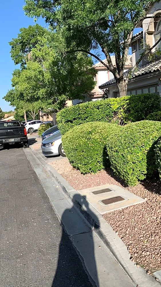 Affordable outdoor landscaping for homes in Las Vegas, NV by Reyes Landscaping