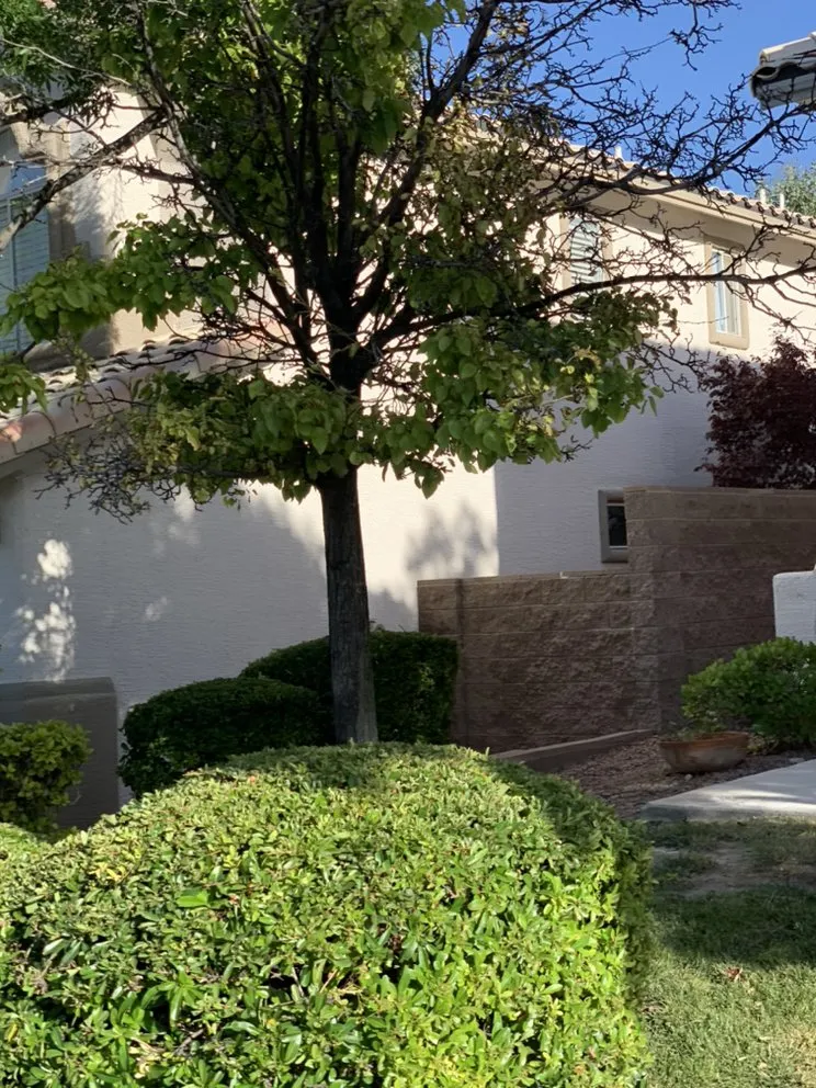 Affordable residential landscaping for homes in Las Vegas, NV by Reyes Landscaping