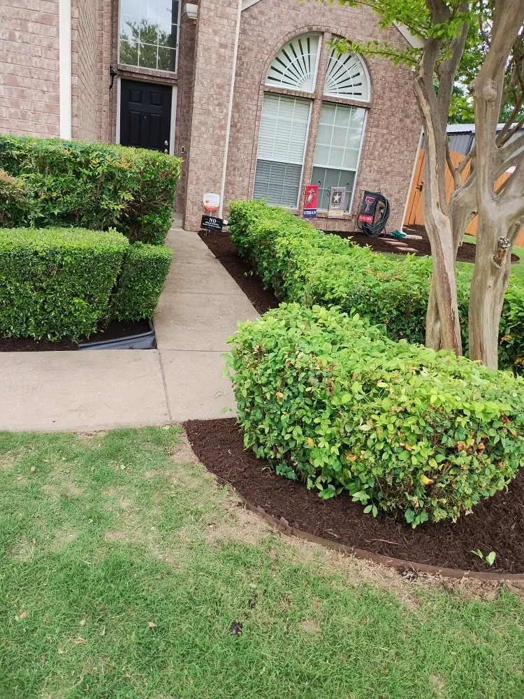 Local landscaping services in McKinney, TX by Reyes Landscaping