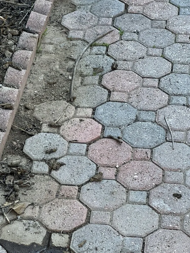 Expert yard maintenance for homes across Oceanside, CA - Reyes Landscaping