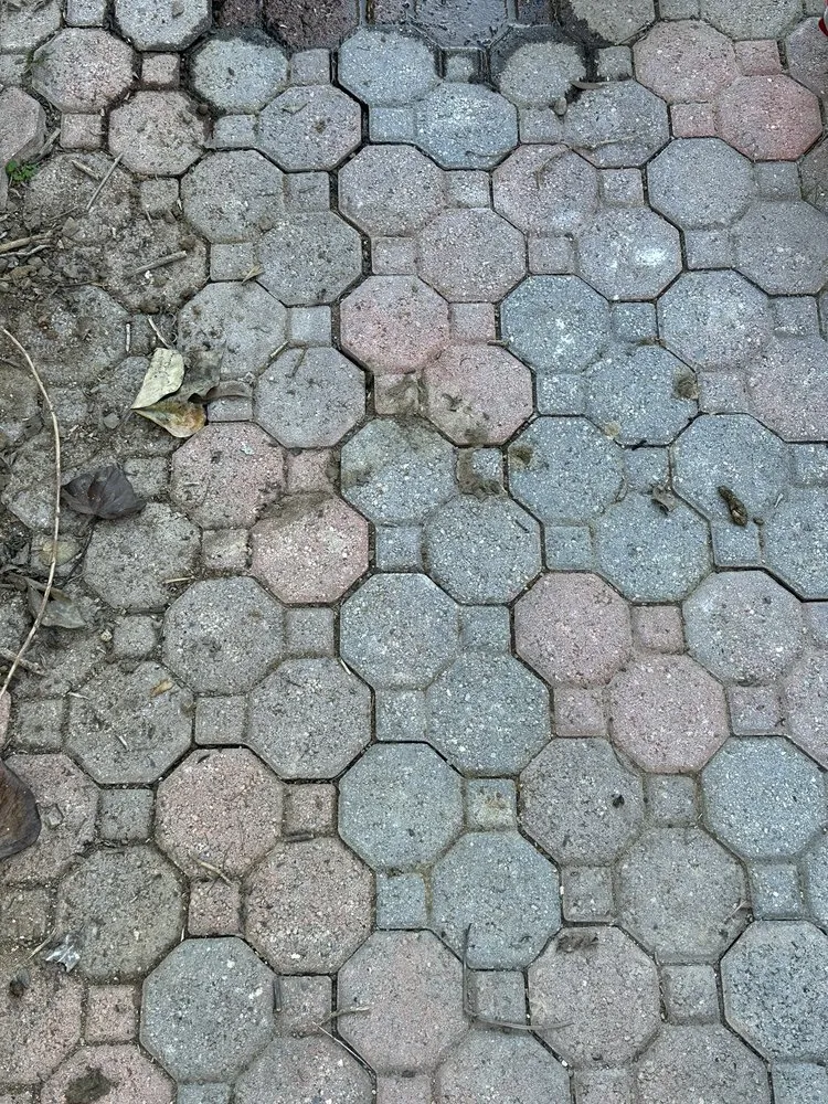 Expert lawn care service in Oceanside, CA by Reyes Landscaping